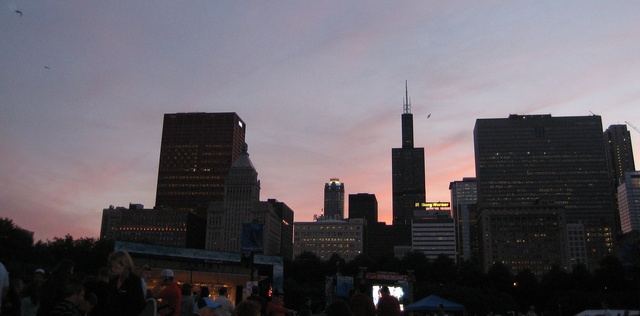 Part of the Chicago Skyline at Night